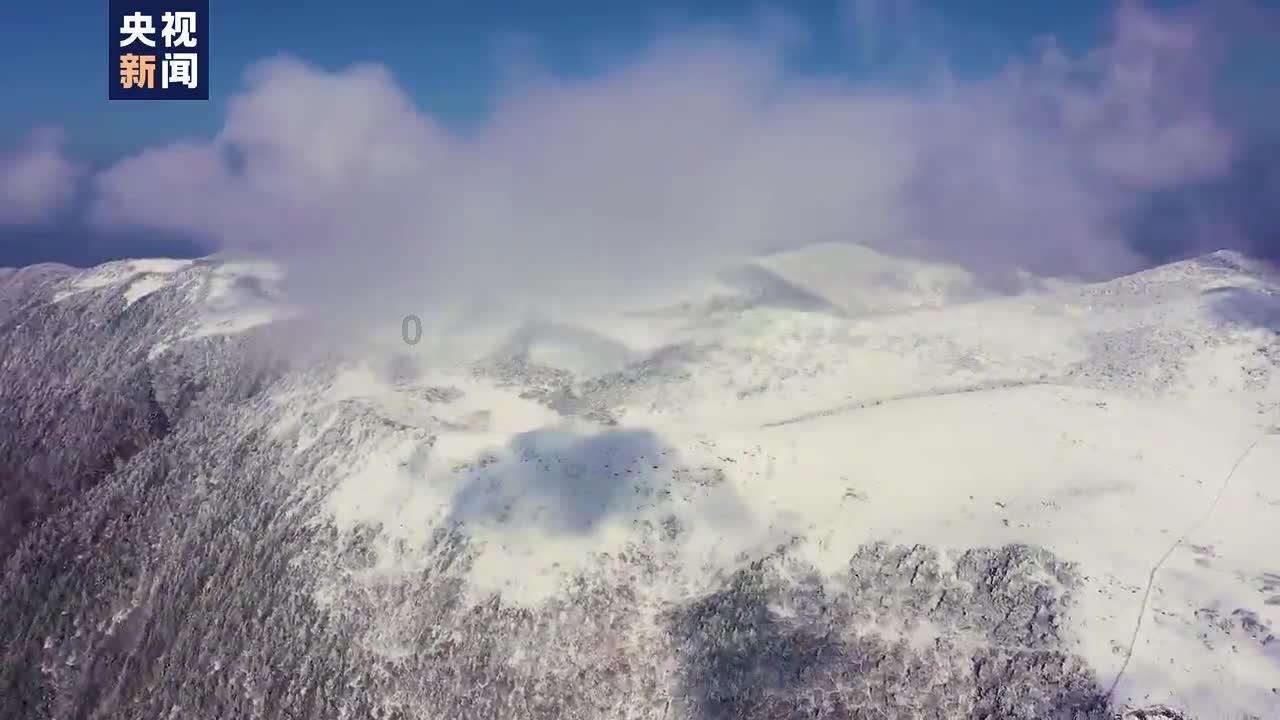 布莱德利·库珀公开恋情，和吉吉浪漫牵手，气场走出十丈风
